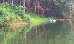 Loop Nature :เชียงใหม่ - แม่ฮ่องสอน 6วัน5คืน