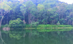 Loop Nature :เชียงใหม่ - แม่ฮ่องสอน 6วัน5คืน