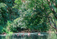 North Weird: 5 วัน 4 คืน เชียงราย เชียงใหม่ แม่ฮ่องสอน