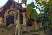 Completed Hidden: พะเยา 2 วัน 1 คืน