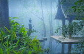 Sun on fog: เชียงราย