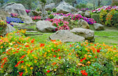 Temple Concerns 12 วัด เชียงราย