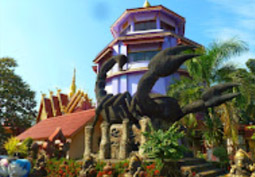 Temple Concerns 12 วัด เชียงราย