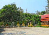 Temple Concerns 12 วัด เชียงราย