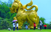 Temple Concerns 12 วัด เชียงราย