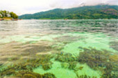 Lipe Concerns: สวยสุดที่น้ำตื้น เกาะหลีเป๊ะ