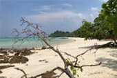 Lipe Concerns: สวยสุดที่น้ำตื้น เกาะหลีเป๊ะ