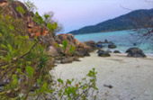 Lipe Concerns: สวยสุดที่น้ำตื้น เกาะหลีเป๊ะ