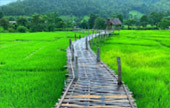 The dream you dream of แม่ฮ่องสอน 3 วัน 2 คืน