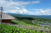 Cold Land ปาย + อ่างขาง..เสียงเพรียก จากความหนาวเหน็บ