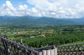 Cold Land ปาย + อ่างขาง..เสียงเพรียก จากความหนาวเหน็บ