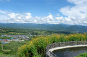 Cold Land ปาย + อ่างขาง..เสียงเพรียก จากความหนาวเหน็บ