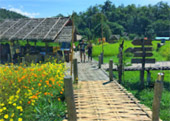 Cold Land ปาย + อ่างขาง..เสียงเพรียก จากความหนาวเหน็บ