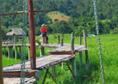 Cold Land ปาย + อ่างขาง..เสียงเพรียก จากความหนาวเหน็บ