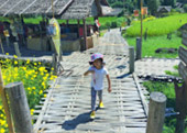 Cold Land ปาย + อ่างขาง..เสียงเพรียก จากความหนาวเหน็บ