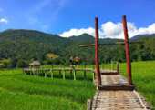 Cold Land ปาย + อ่างขาง..เสียงเพรียก จากความหนาวเหน็บ