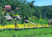 Cold Land ปาย + อ่างขาง..เสียงเพรียก จากความหนาวเหน็บ