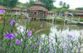 Cold Land ปาย + อ่างขาง..เสียงเพรียก จากความหนาวเหน็บ
