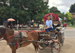 Around North: 5 วัน 4 คืน น่าน เชียงราย ลำปาง พะเยา