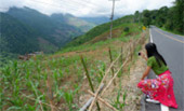 Around North: 5 วัน 4 คืน น่าน เชียงราย ลำปาง พะเยา