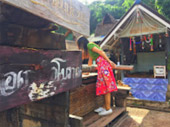 Around North: 5 วัน 4 คืน น่าน เชียงราย ลำปาง พะเยา