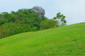 Around North: 5 วัน 4 คืน น่าน เชียงราย ลำปาง พะเยา