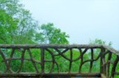 Around North: 5 วัน 4 คืน น่าน เชียงราย ลำปาง พะเยา