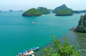 Left Behind on Island แพ็คเกจ เกาะพะลวย
