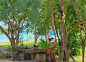 Left Behind on Island แพ็คเกจ เกาะพะลวย