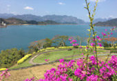 Drink in the Beauty: 3 วัน 2 คืน สุราษฯ เขื่อนเชี่ยวหลาน เขาสก