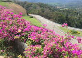 Drink in the Beauty: 3 วัน 2 คืน สุราษฯ เขื่อนเชี่ยวหลาน เขาสก