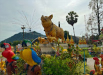 Push the envelope สุราษ นครศรี เขื่อนเชี่ยวหลาน