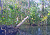 Nature Soothes Spirit. เขาสก เขื่อนรัชชประภา สุราษฏร์ธานี