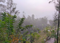 Nature Soothes Spirit. เขาสก เขื่อนรัชชประภา สุราษฏร์ธานี
