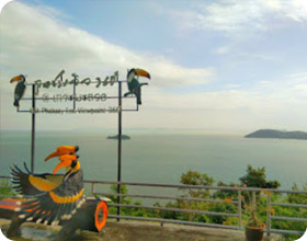 Left Behind on Island แพ็คเกจ เกาะพะลวย