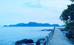 Leave No Stone Unturned: สุราษฏร์ธานี